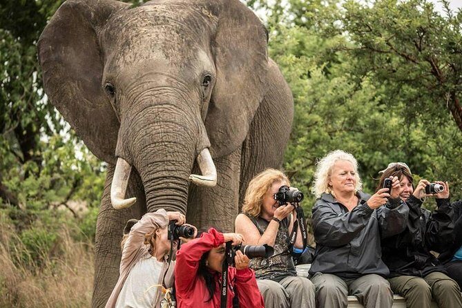 2 Days Amboseli Safari Adventure from Nairobi Classic Game Drives - The Itinerary Breakdown: What to Expect