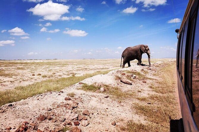 2 Days Amboseli Safari Adventure from Nairobi Classic Game Drives - Frequently Asked Questions