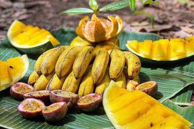 2 Days and 1 Night Ethical Jungle Trek - A Close Look at the Experience