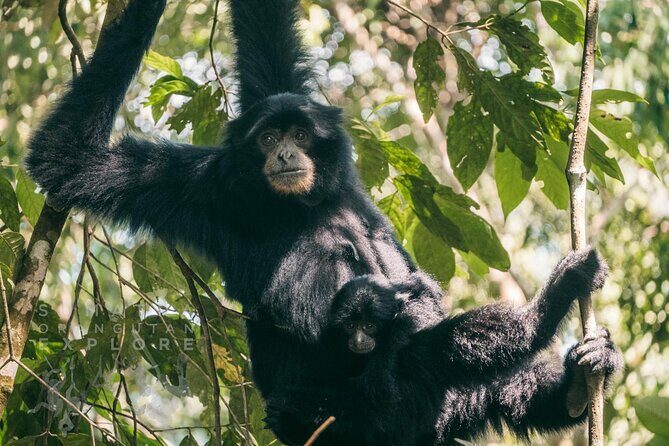 2 Days and 1 Night Ethical Jungle Trek - FAQs