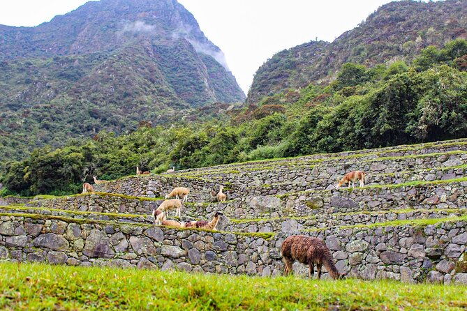 2-days-and-1-night-machu-picchu-sunrise-tour-by-train