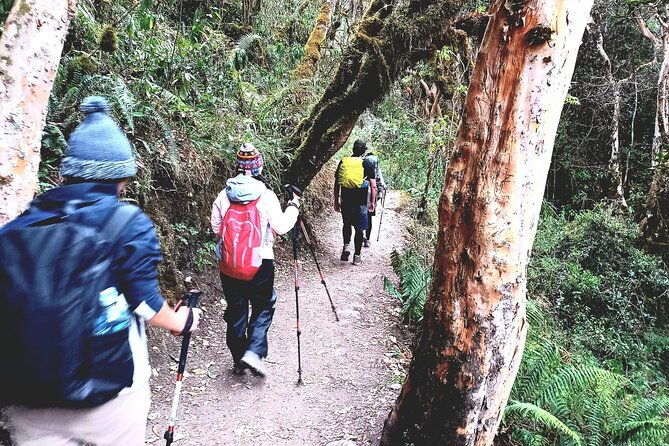 2-days-and-1-night-short-inca-trail-to-machu-picchu