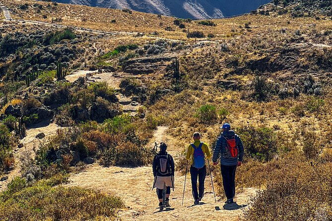 2-days-and-1-night-trekking-through-colca-canyon
