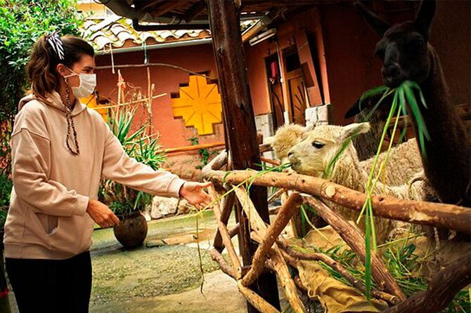 2-days-best-machupicchu-tour-private-guided-experience