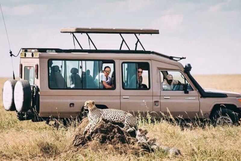2-Days Budget Safari Tarangire & Ngorongoro from Zanzibar - The Experience: Authenticity Meets Comfort