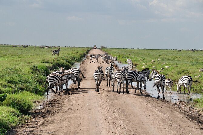 2 Days Camping Group Joining Tarangire Ngorongoro Crater Safari - Key Points