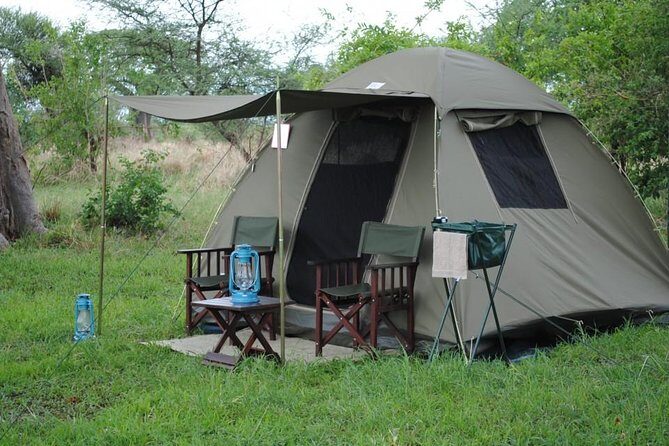 2 Days Camping Safari, Lake Manyara & Ngorongoro Crater - Detailed Itinerary Breakdown