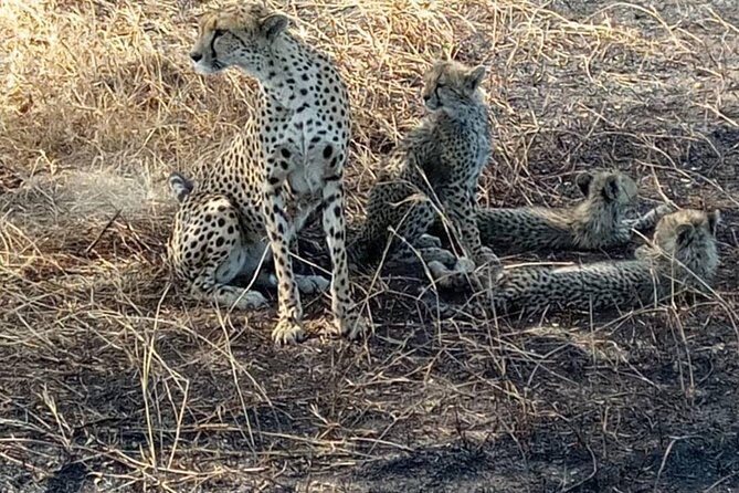 2 Days Camping Safari, Lake Manyara & Ngorongoro Crater - FAQ