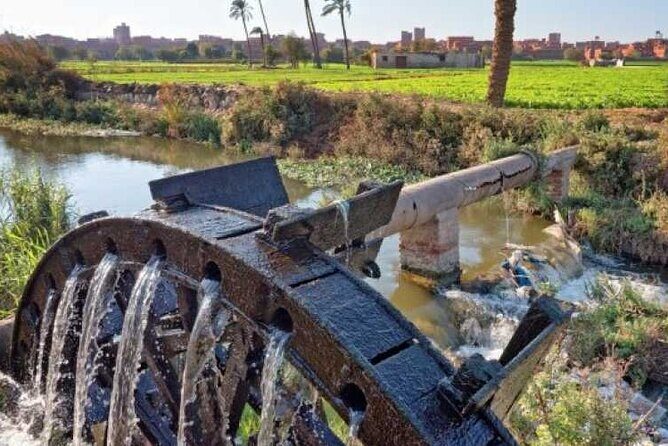 2 Days Camping Trip PRIVATE in Fayoum Oasis from Cairo - Key Points
