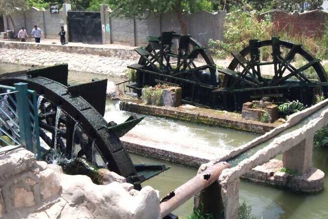 2 Days Camping Trip PRIVATE in Fayoum Oasis from Cairo - Introduction: What’s in Store for You?