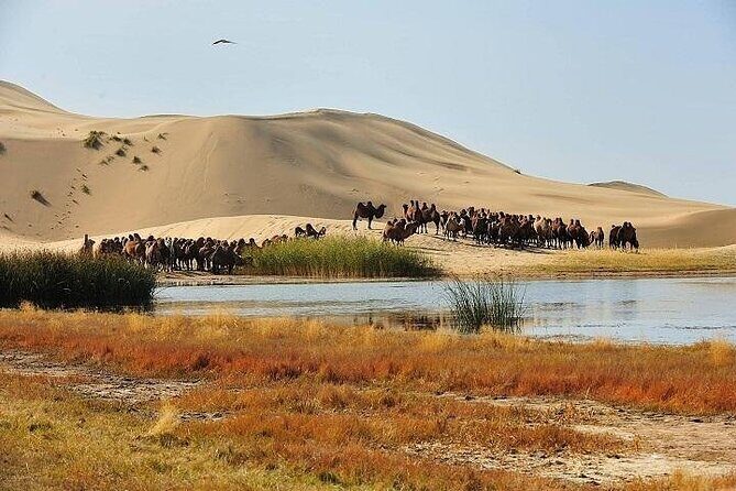 2 Days Central Mongolia Elsen Tasarkhai and Khar khorum - Who Is This Tour Best For?