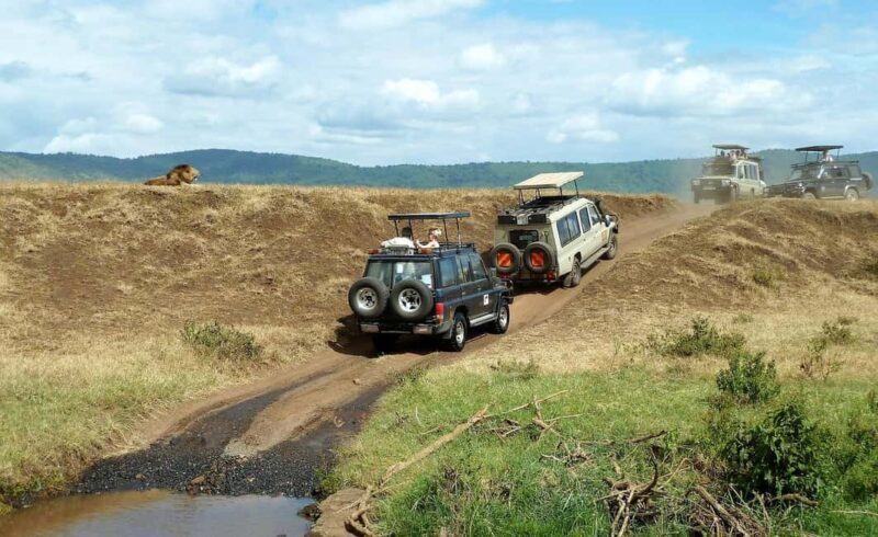 2 Days Cheap mikumi NP safari & waterfall from Dar es salaam - Key Points