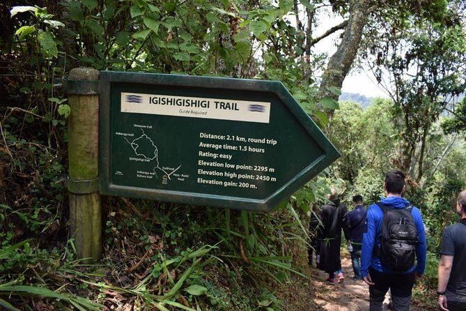 2 Days Chimpanzees trekking Tour and Canopy walk Adventure - Highlights that Make This Tour Stand Out