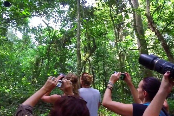 2 Days Chimpazee Safari In kibale Forest Park Uganda. - Authentic Insights from Past Travelers