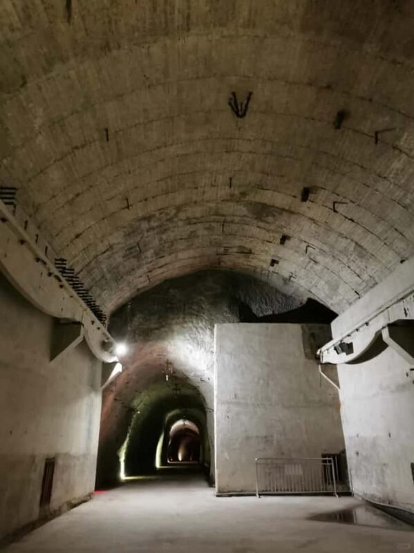 2 Days Chongqing's Underground Wonders and Mountain Kingdoms - Key Points