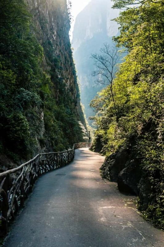 2 Days Chongqing's Underground Wonders and Mountain Kingdoms - Who is this tour best suited for?