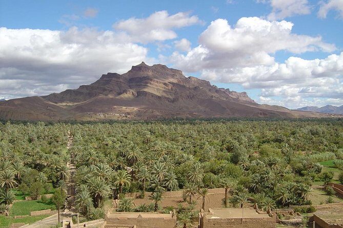 2 Days Circuit From Marrakech To Zagora Desert - Day 2: Early Morning in the Desert and Return to Marrakech
