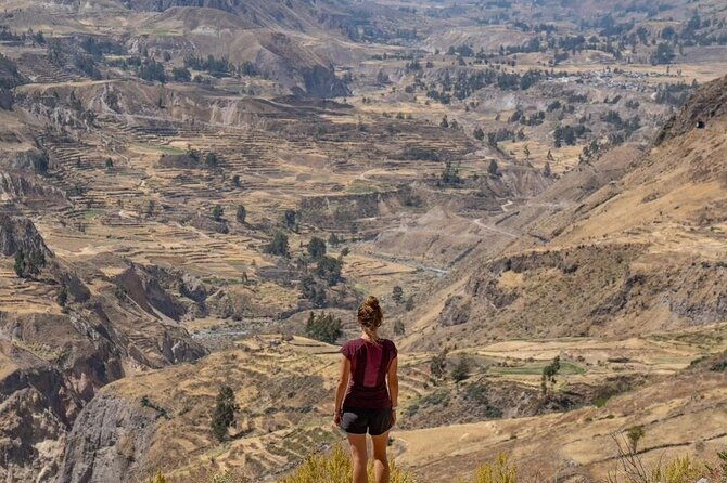 2-days-colca-canyon-tour-with-transfer-to-puno