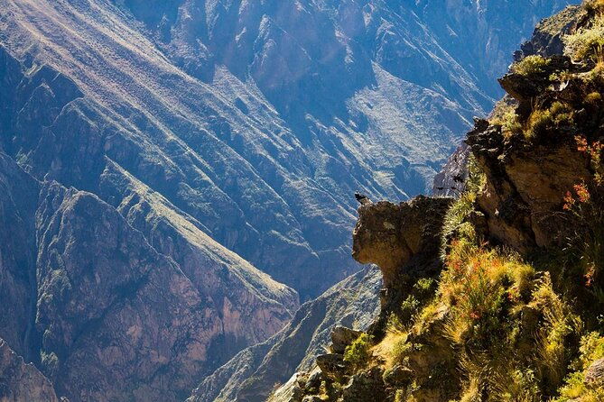 2-days-colca-canyon-tour-with-transfer-to-puno