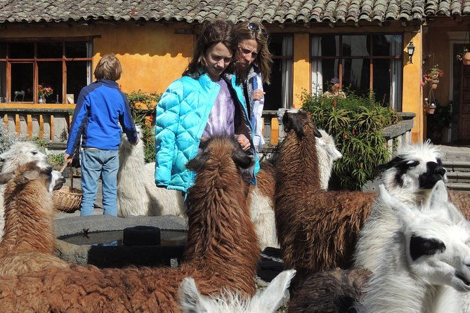 2-days-cotopaxi-and-banos-journey