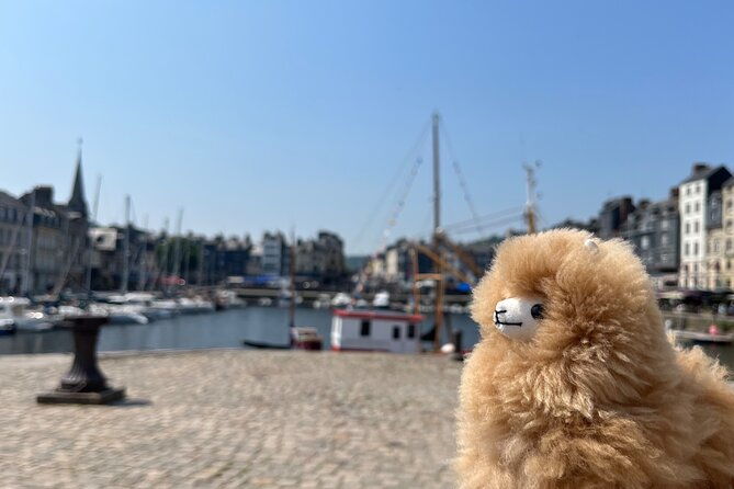 2-days-customisable-private-guided-tour-in-normandy-brittany