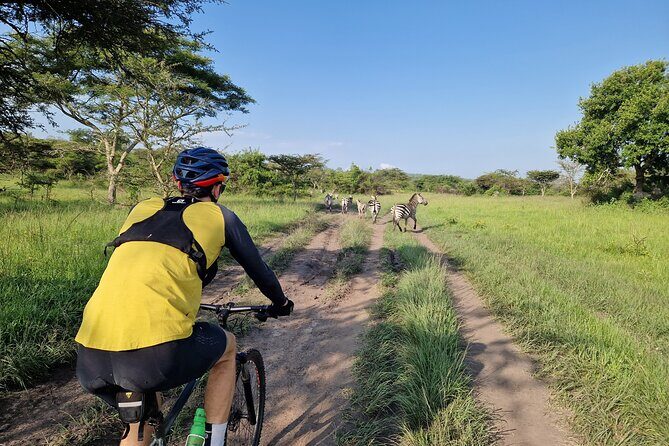 2 Days Cycling Safari To Lake Mburo National Park - Introduction