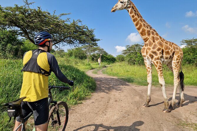 2 Days Cycling Safari To Lake Mburo National Park - Key Points