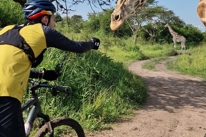 2 Days Cycling Safari To Lake Mburo National Park - The Ride: Day-by-Day Breakdown