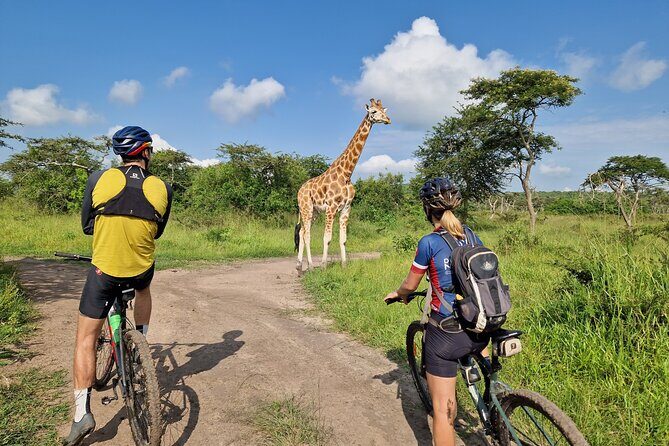 2 Days Cycling Safari To Lake Mburo National Park - The Sum Up