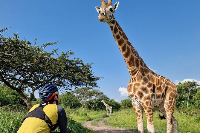 2 Days Cycling Safari To Lake Mburo National Park - FAQs