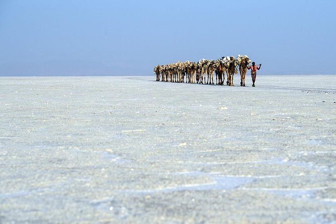 2 Days Dallol Trip - Key Points