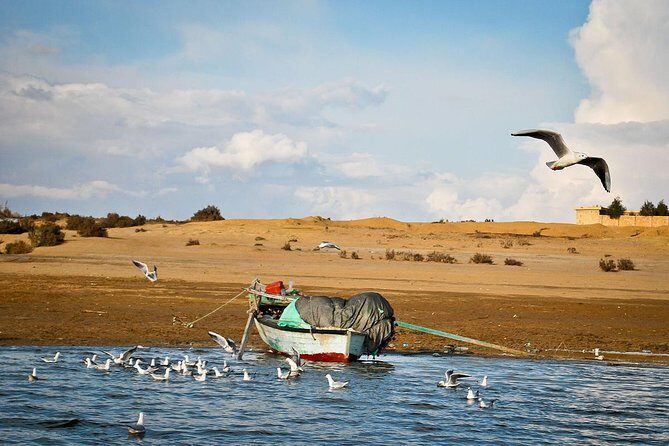 2 Days Desert Safari Trip to Fayoum Oasis from Cairo - Practical Considerations