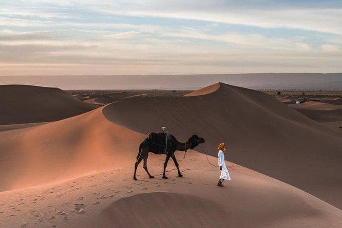 2 Days Desert Tour from Fes to Marrakech - Authenticity & Experience: What Travelers Say