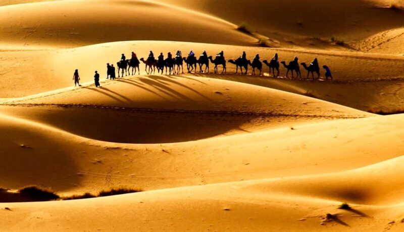 2 Days Desert Tour From Fes with Luxury camp - Key Points