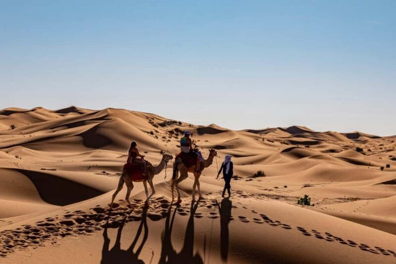 2 Days Desert Tour From Fes with Luxury camp - Exploring Every Inch of the 2-Day Desert Tour from Fes