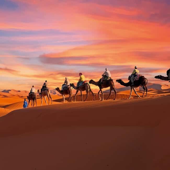 2 Days Desert Tour From Fes with Luxury camp - Who Is This Tour Best For?