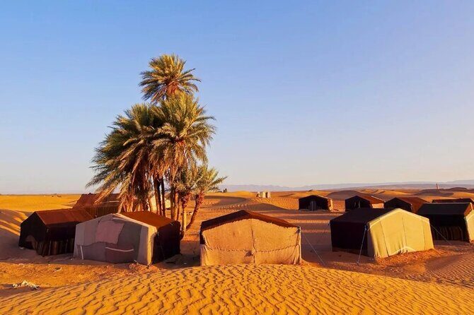 2 Days Desert Tour From Marrakech To Zagora And Camel Trek - Final Thoughts: Who Is This Tour Best For?