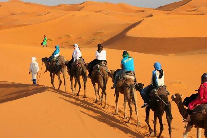 2 Days Desert Trip Back To Fes/ Or Marrakech - Transportation and Group Size