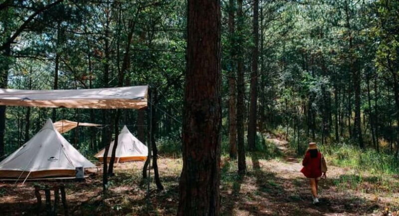 2 Days Eco Trekking Tour in Da Lat - Wrapping Up: Who Will Love This Tour?