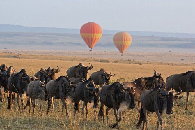 2 Days Enjoy Serengeti National Park with Balloon Safari - Key Points