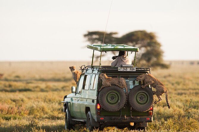 2 Days Enjoy Serengeti National Park with Balloon Safari - The Itinerary Breakdown