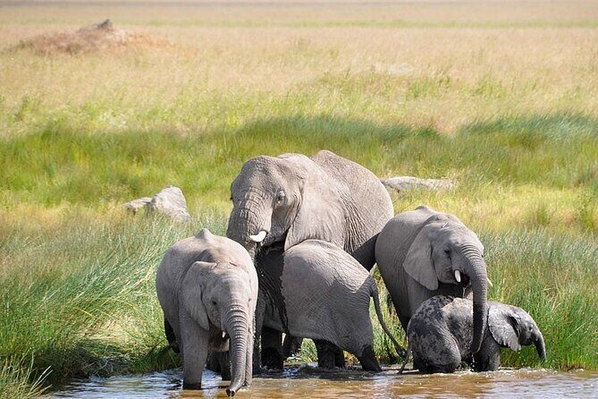 2 Days Enjoy Serengeti National Park with Balloon Safari - Final Thoughts