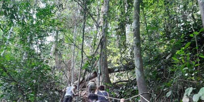 2-days-expedition-from-bukit-lawang-connect-with-nature
