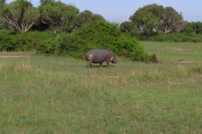 2 Days Family Safari to Murchison Falls Park Uganda - Final Thoughts
