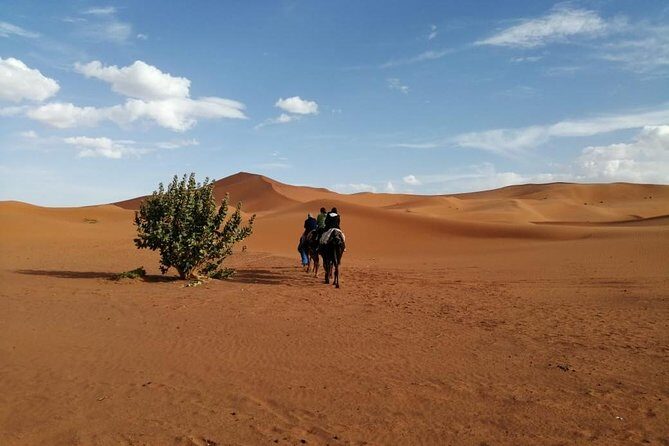 2 Days Fes Desert trip Overnight Erg chebbi End up Fes/Marrakech - Sunrise and Return