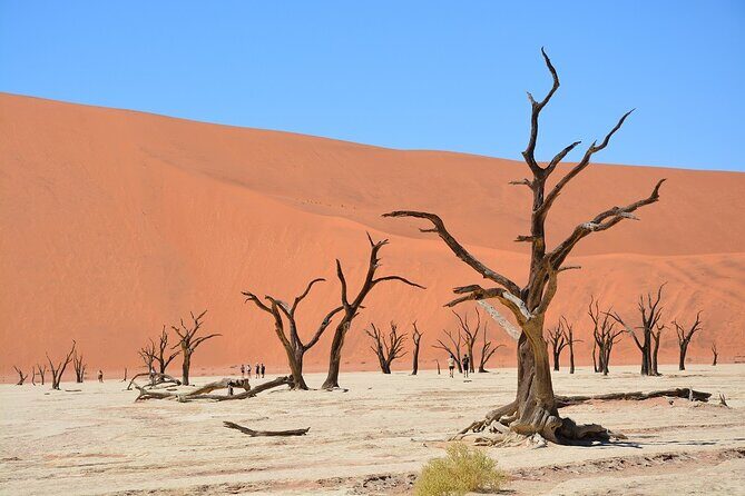 2 Days Guided Tour in Sossusvlei and Sandwich Harbor - The Itinerary in Detail