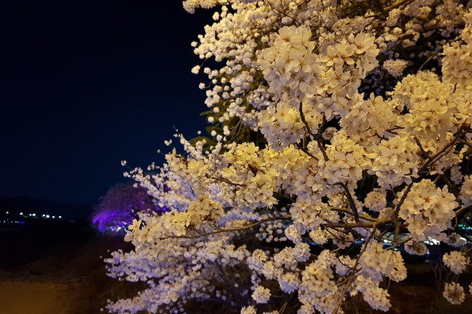 2 Days Gyeongju Private Tour from Seoul and Near Seoul - Day 2: Gyeongju’s Sacred and Artistic Heritage