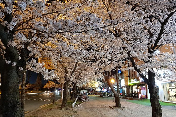 2 Days Gyeongju Private Tour from Seoul and Near Seoul - Practical Details and Highlights