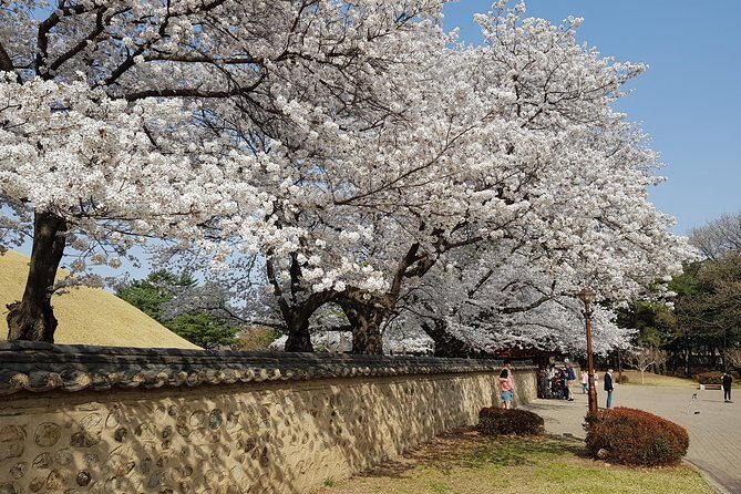 2 Days Gyeongju Private Tour from Seoul and Near Seoul - Who Should Book This Tour?