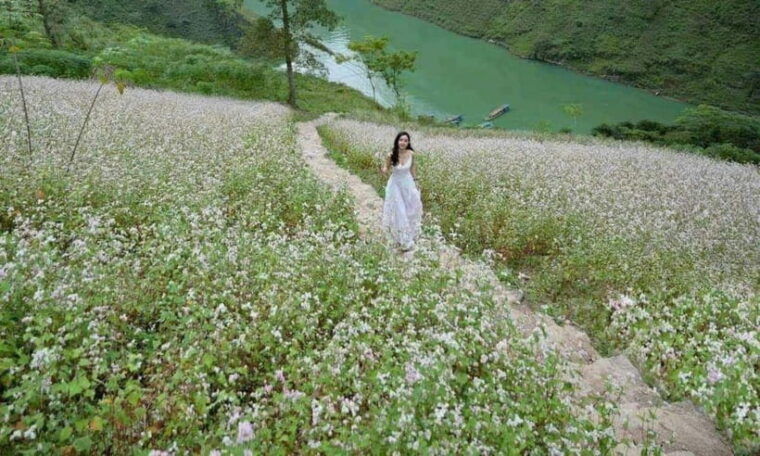 2-days-ha-giang-loop-group-or-private-tour-motorbike-tour